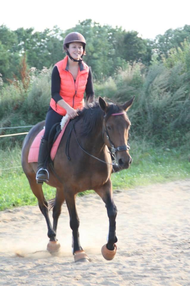 Hannoveraner Flower Girl billede 20