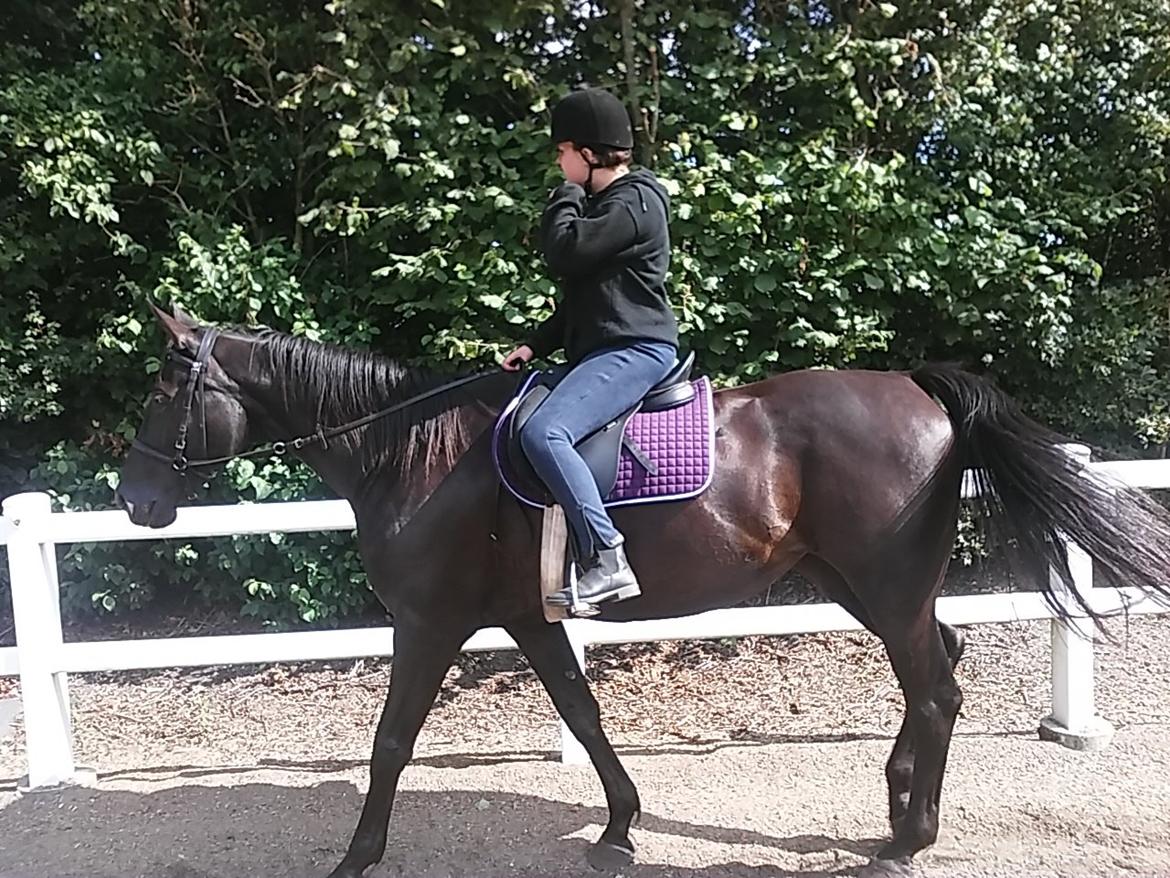 Anden særlig race Meesei  billede 9