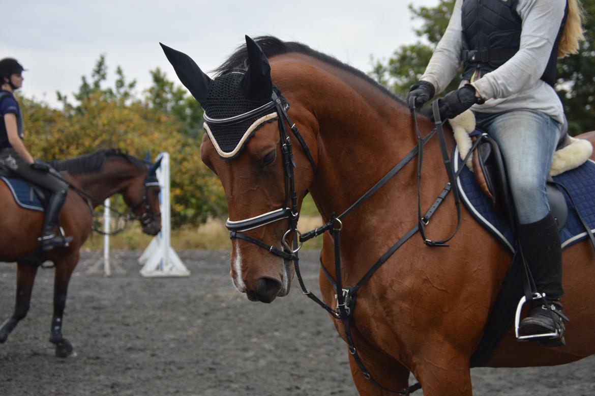 Oldenborg Gunnihus hanna billede 4