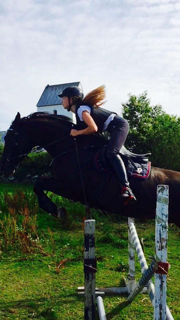 Dansk Varmblod things lucas billede 15