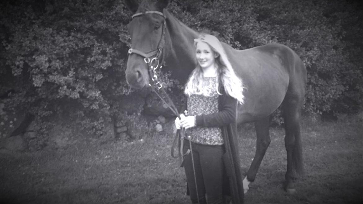 Dansk Varmblod things lucas billede 16