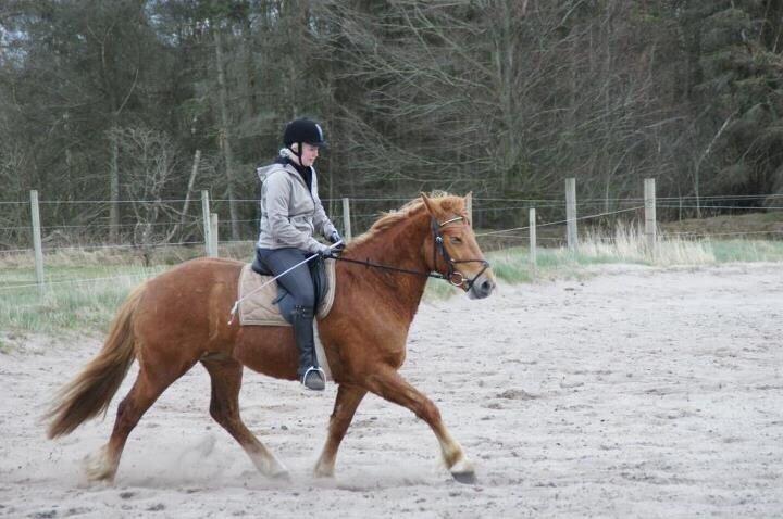 Anden særlig race Frida billede 11