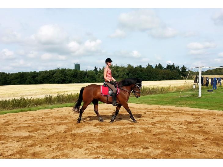 {{currentPhoto.altText}} billede {{currentPhoto.number}}