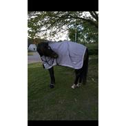 Oldenborg (Gucci i daglig tale) Engvangs peanut 2010