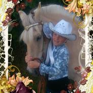 Fjordhest Svinsig´s Oliver (Wolle)