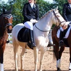 Connemara Mosevangs Cocu