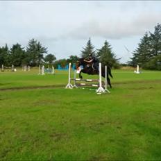 Anden særlig race Lundsmindes Nobell