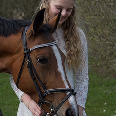 Traver Zenia min travstjerne