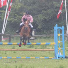 Anden særlig race Dina