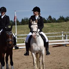 Connemara Mosevangs Cocu