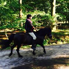 Islænder Sigga fra Hvidbjerggård