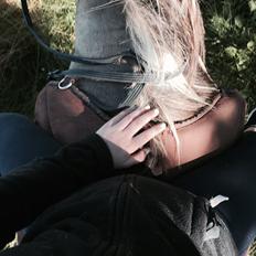 Islænder Kaisar fra Ragnhild