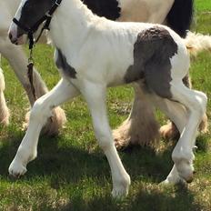 Tinker Lillevang's Prinsesse