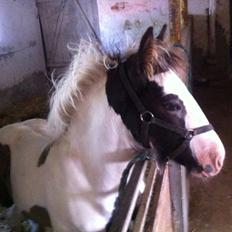 Tinker Lillevang's Prinsesse