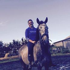 Fuldblod (XX) (solgt) My Malik