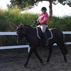 Anden særlig race Shadow