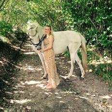 Trakehner Bint Al Hawa