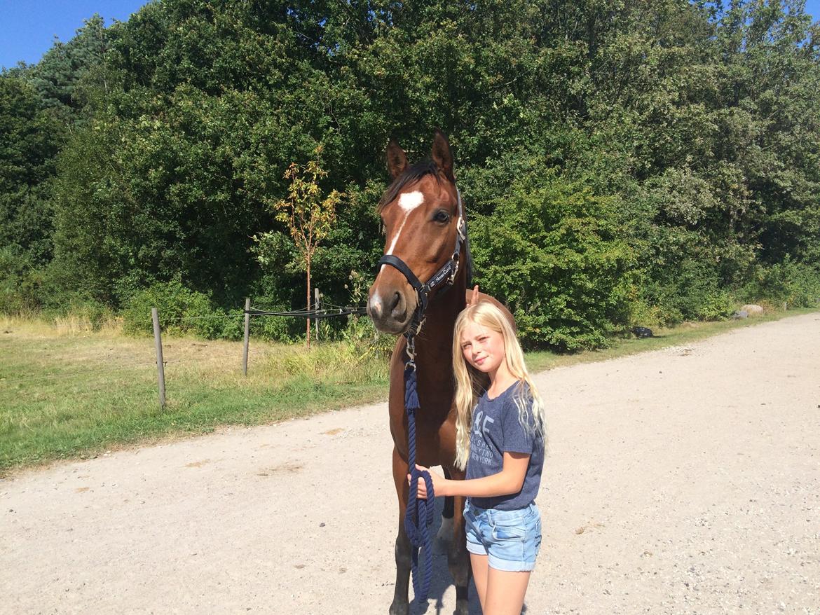 Fuldblod (XX) Skovkær's Pagazzo - Med den bedste ved min side!..🎈🎎 billede 4