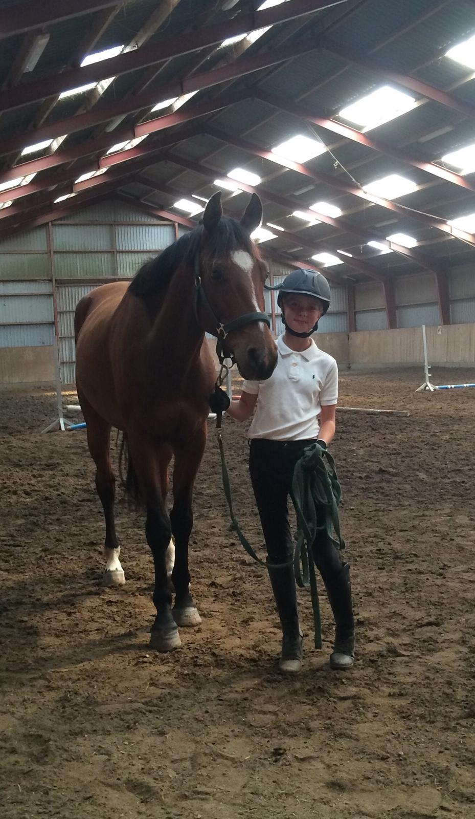 Fuldblod (XX) Skovkær's Pagazzo - Første gang vi mødtes🎓 billede 5