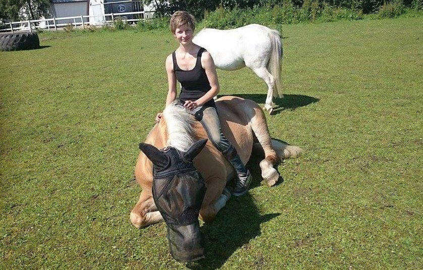 Haflinger Grynet (Kaldes Gry) - Mit et og alt...<3 billede 10