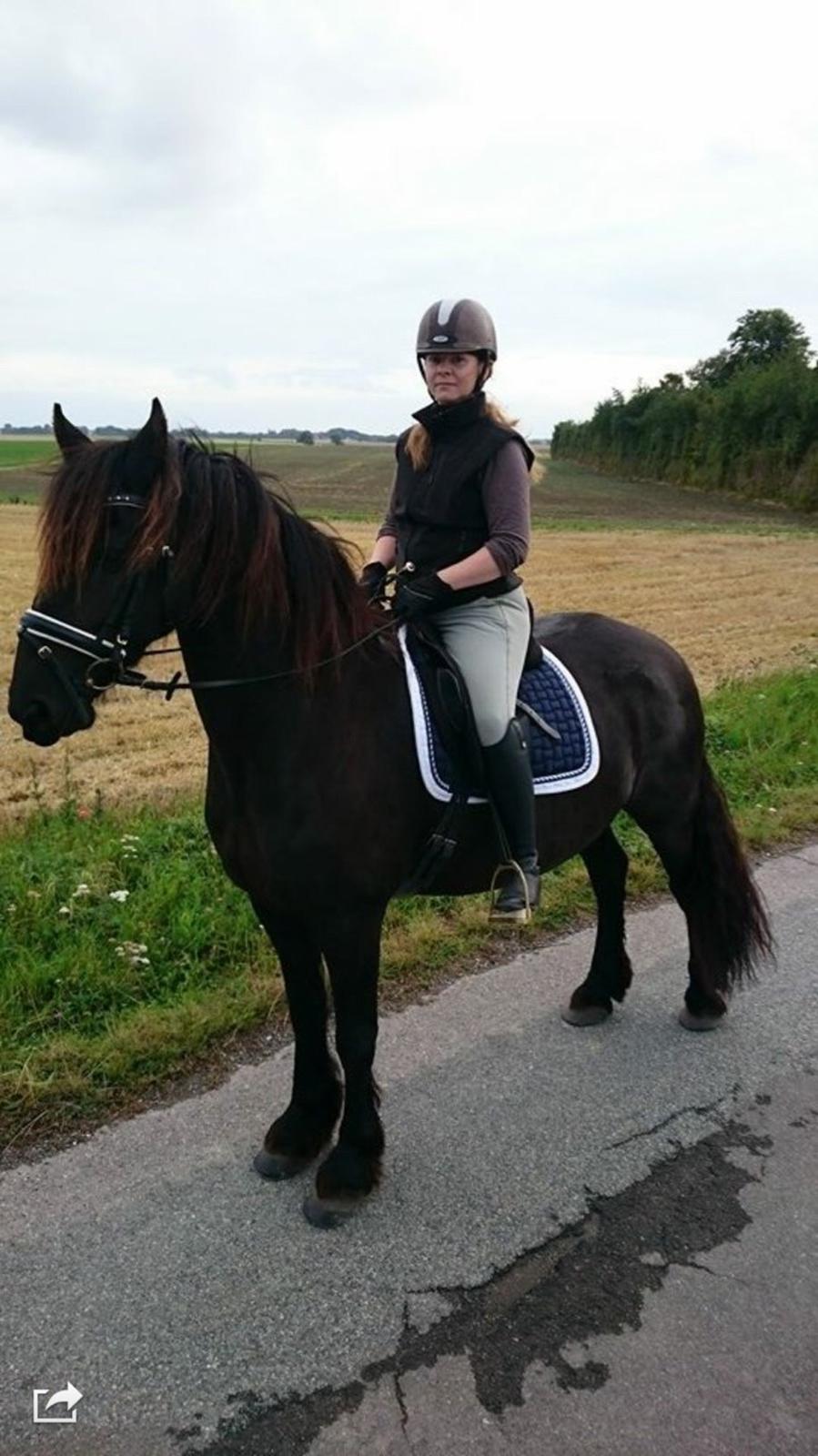 Frieser Barik billede 16