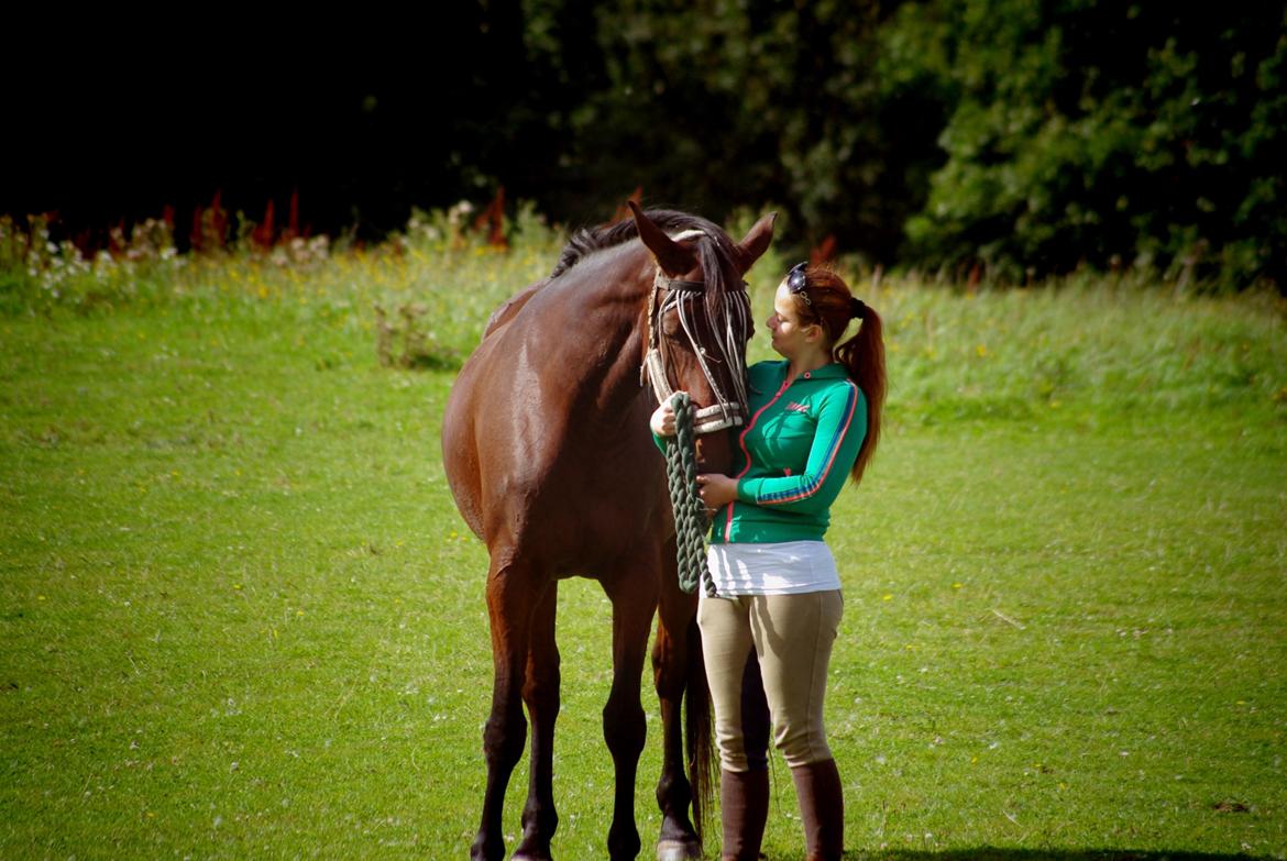 Traver Donna (prima Donna) billede 28