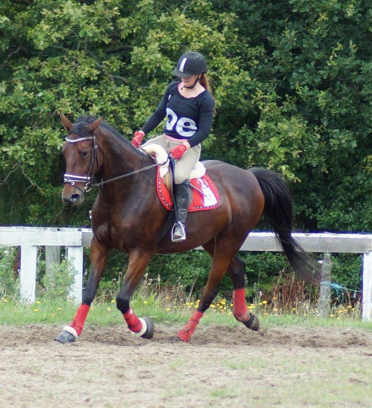 Traver Donna (prima Donna) billede 9