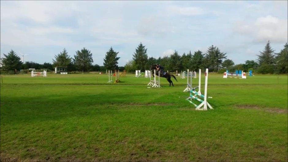 Anden særlig race Lundsmindes Nobell billede 1