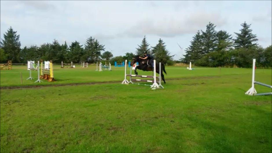 Anden særlig race Lundsmindes Nobell billede 2