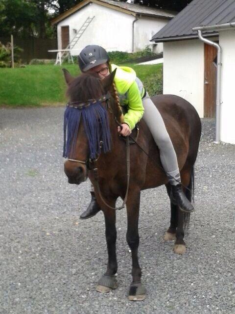 Islænder Vigdis  | tdl. Part | - vores føreste tur uden saddel :-) vi tog en lille skridttur fordi vi er igang med genoptrænng  billede 18