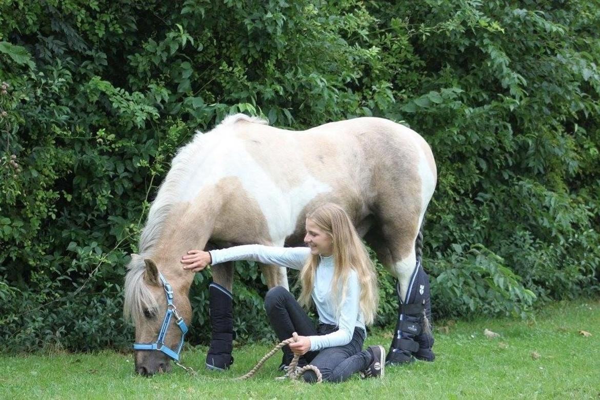 Anden særlig race Sofielunds Baloo- A-pony - Min bedre halvdel billede 5