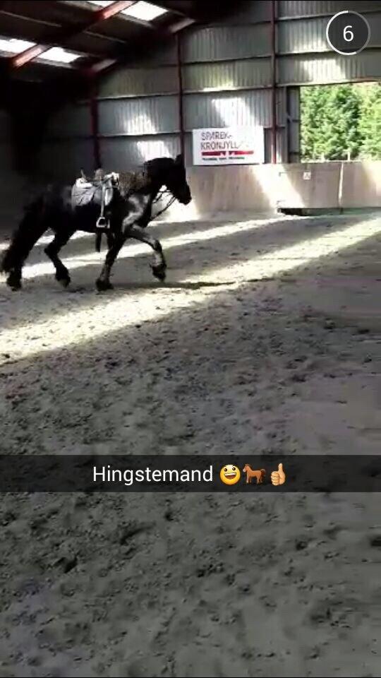 Frieser Oege S billede 14