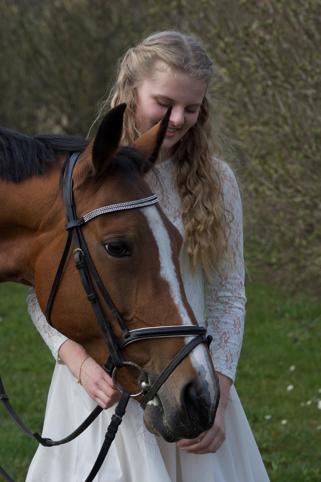 Traver Zenia min travstjerne billede 3