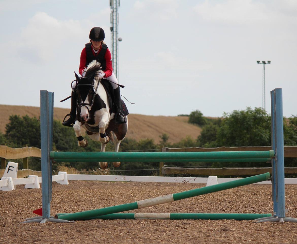 Anden særlig race Rain Solei - B-pony billede 16