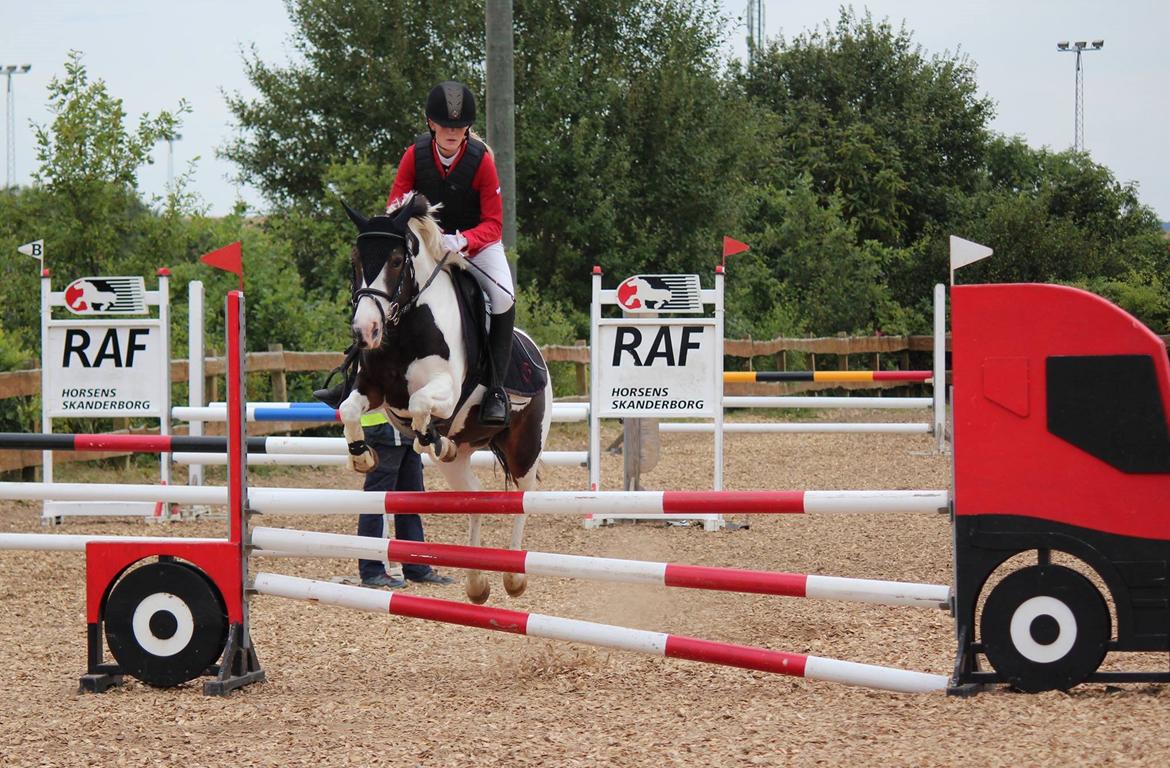 Anden særlig race Rain Solei - B-pony billede 19