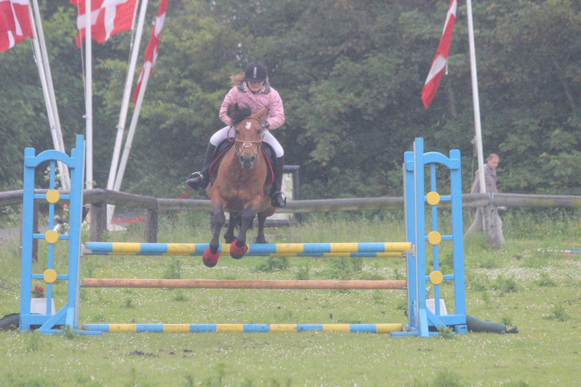 Anden særlig race Dina billede 3