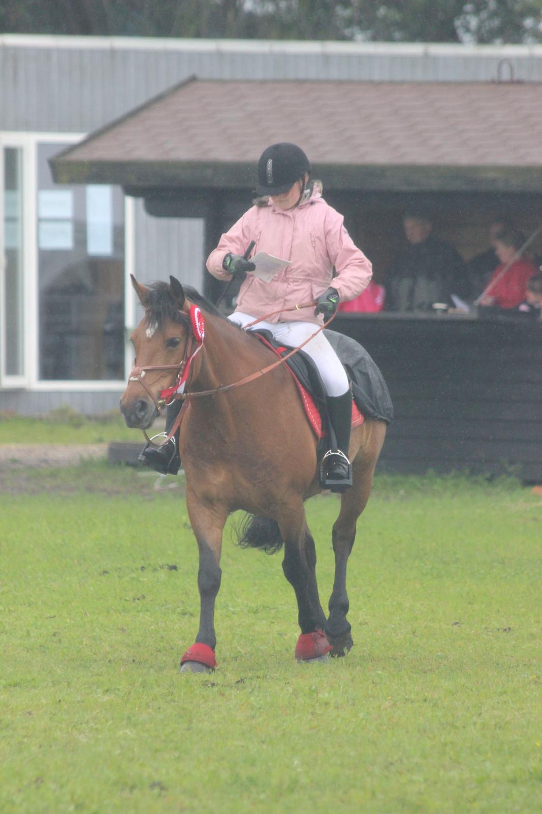 Anden særlig race Dina billede 7