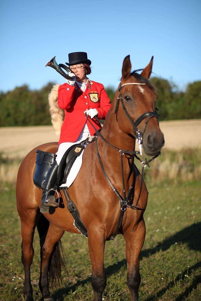 Dansk Varmblod Cheval - Jagtrideklubben Distrikt 11-13, Hjerl Hede (Flyndersø) 2016 billede 7