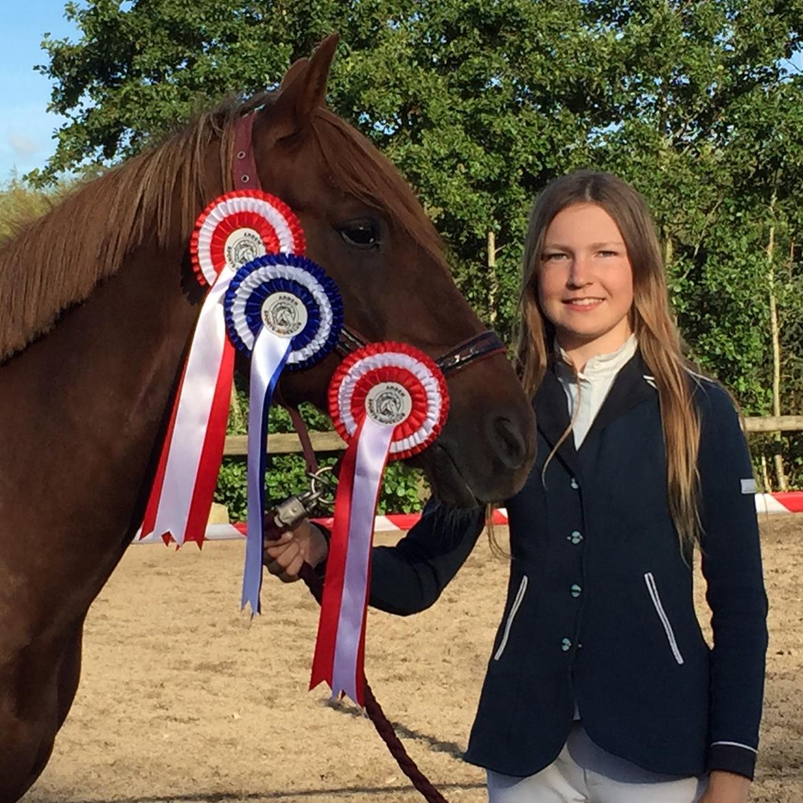 Hollandsk Sportspony Iwan A-pony - C-stævne i Arden billede 19