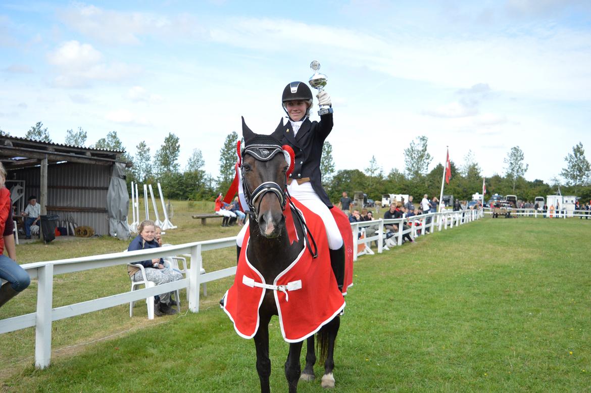 Tysk Sportspony Caruso - min pony! B -pony - Distriksmesterskab 2015 billede 3