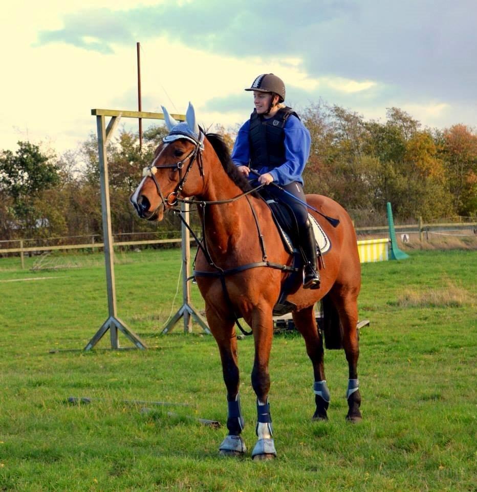 Traver Ja Post-Pub (Popper) billede 20