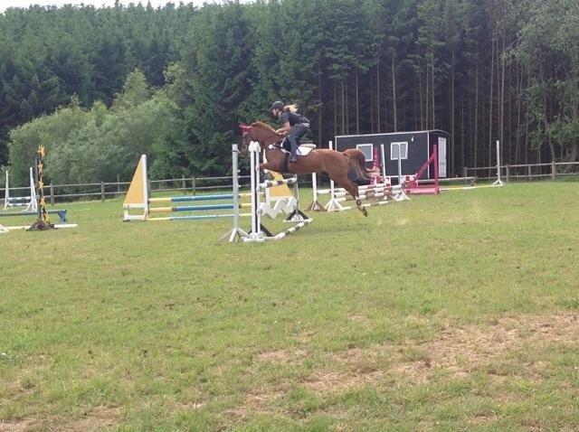 DSP Lindveds Musca billede 3