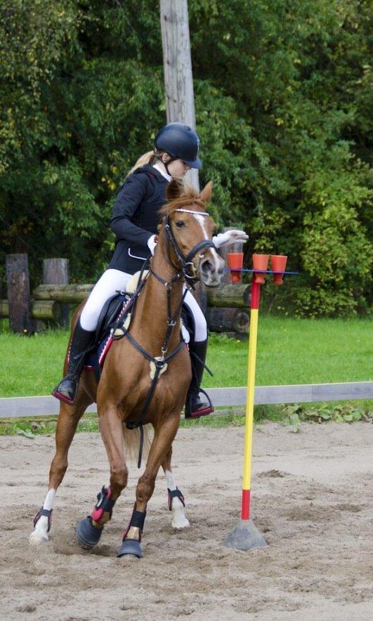 DSP Lindveds Musca billede 9