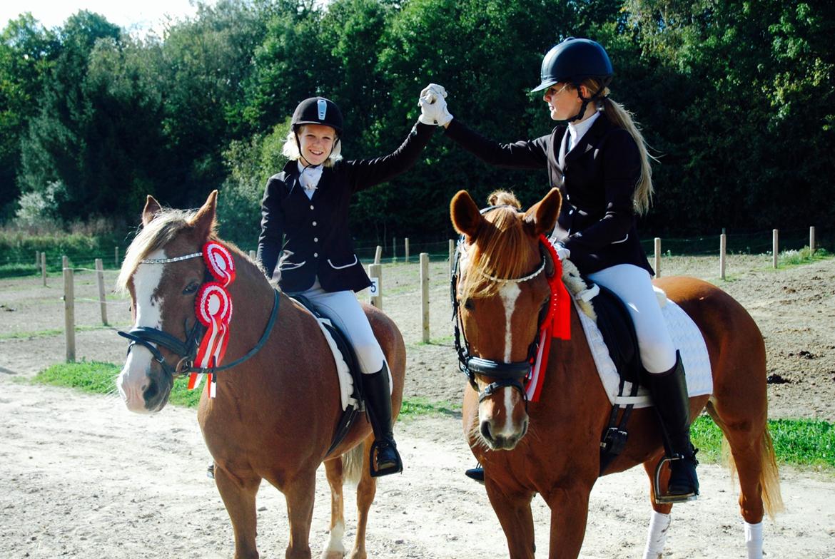 DSP Lindveds Musca billede 10