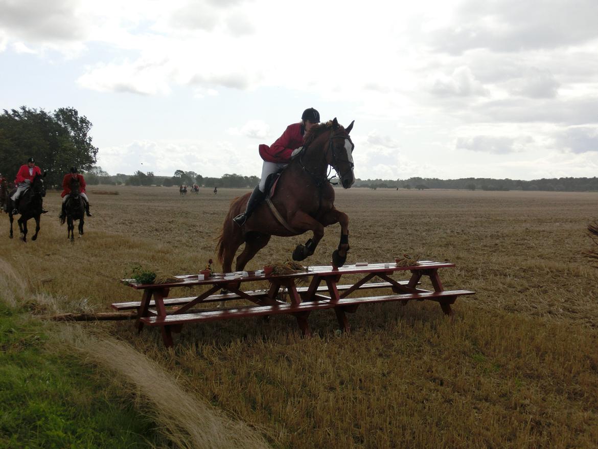 Frederiksborg Fedgårdens don juan billede 3
