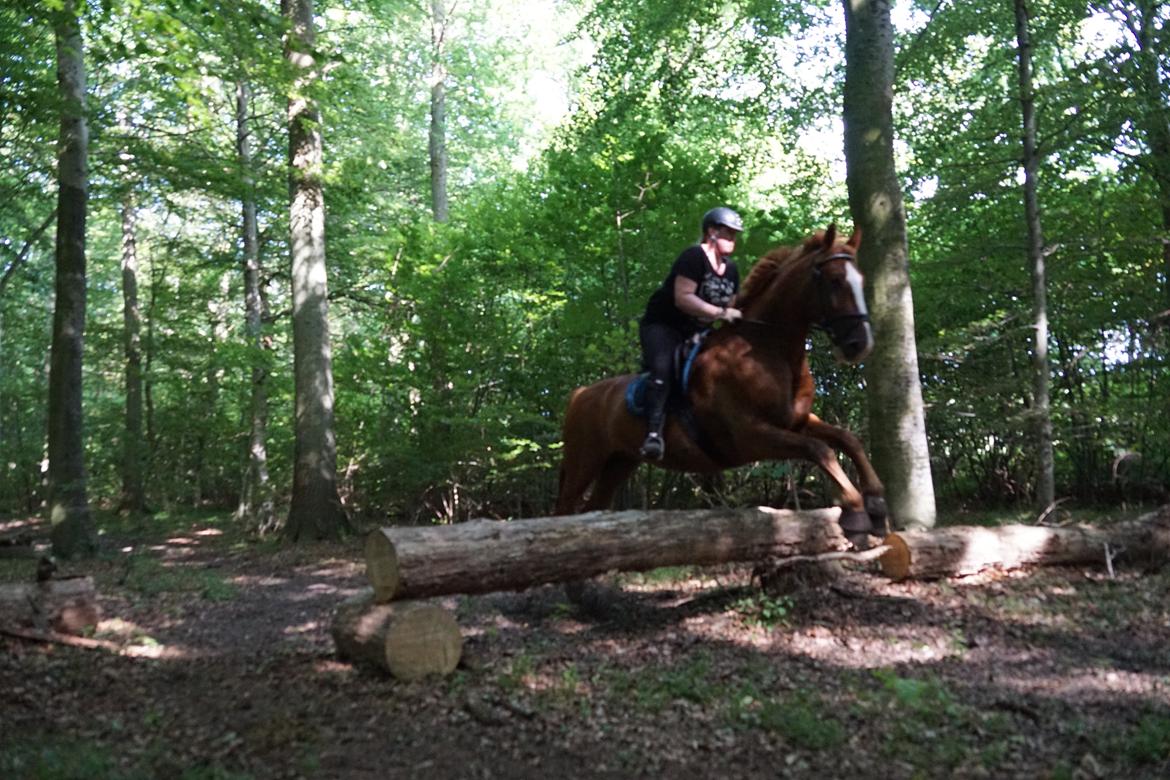Frederiksborg Fedgårdens don juan billede 18