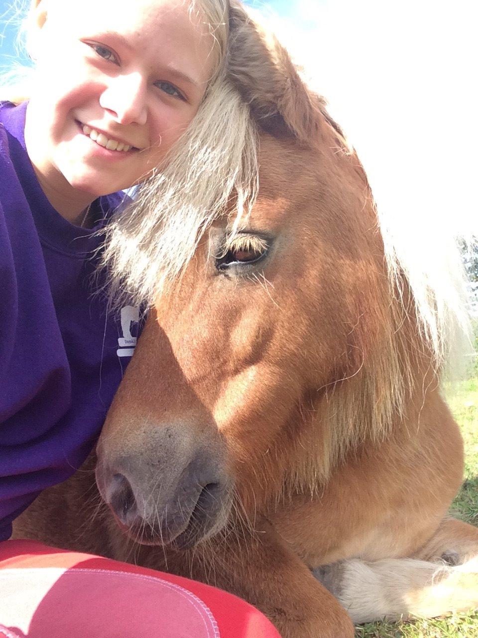 Shetlænder Dotzauers Frederik billede 2