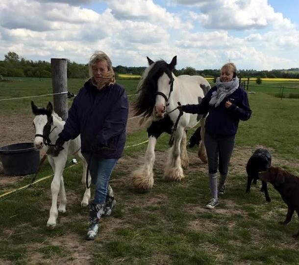 Tinker Lillevang's Prinsesse billede 6