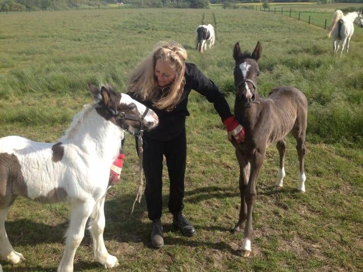 Tinker Lillevang's Prinsesse billede 7