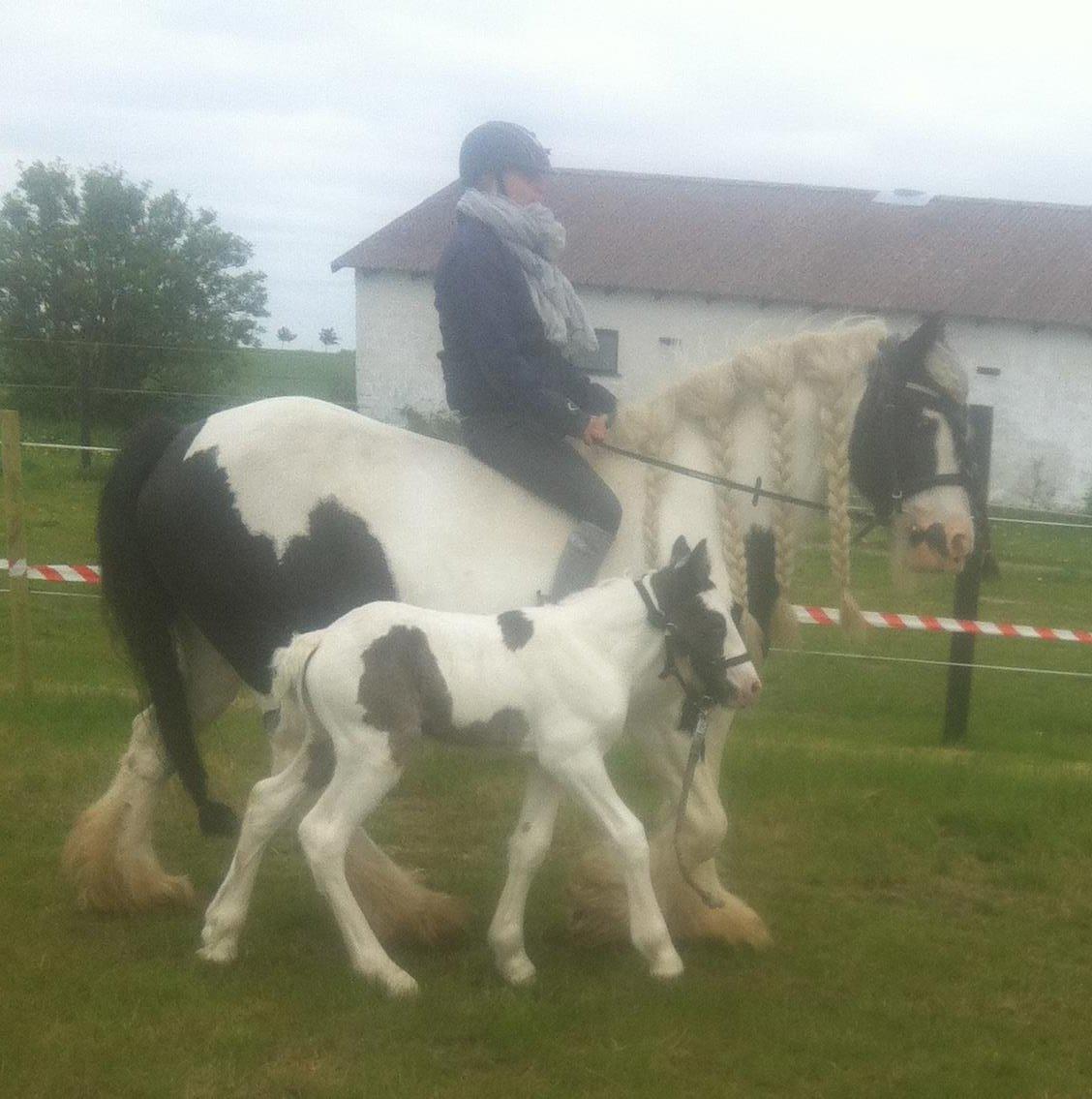 Tinker Lillevang's Prinsesse billede 13